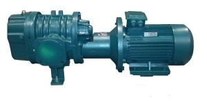 Компрессор низкого давления  2AF49М1-МН-50-1.62-1.5-3(2АФ49Э52С) муфтовая воздуходувка Компрессор низкого давления  2AF49М1-МН-50-1.62-1.5-3(2АФ49Э52С) муфтовая воздуходувка фото