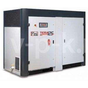 Винтовой компрессор Fini TERA SD 34008 STC Винтовой компрессор Fini TERA SD 34008 STC фото