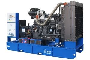 Дизельный генератор ТСС АД-200С-Т400 с АВР 025259 (с автозапуском) Дизельный генератор ТСС АД-200С-Т400 с АВР 025259 (с автозапуском) фото