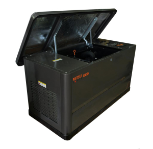 Газовый генератор  GM 16000