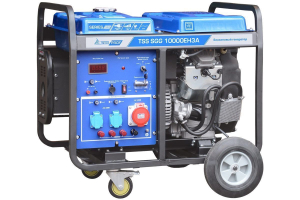 Бензиновый генератор ТСС SGG 10000EH3A 190010 фото