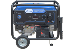 Бензиновый генератор ТСС SGG 8000EHNA в кожухе МК-1.1 034039 фото